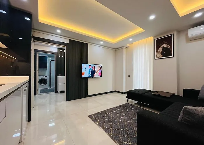 16 With Fast Internet And Elevator